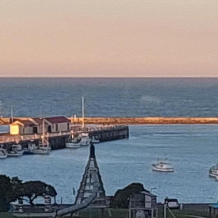 Oamaru Pink Cottage Bagian luar foto