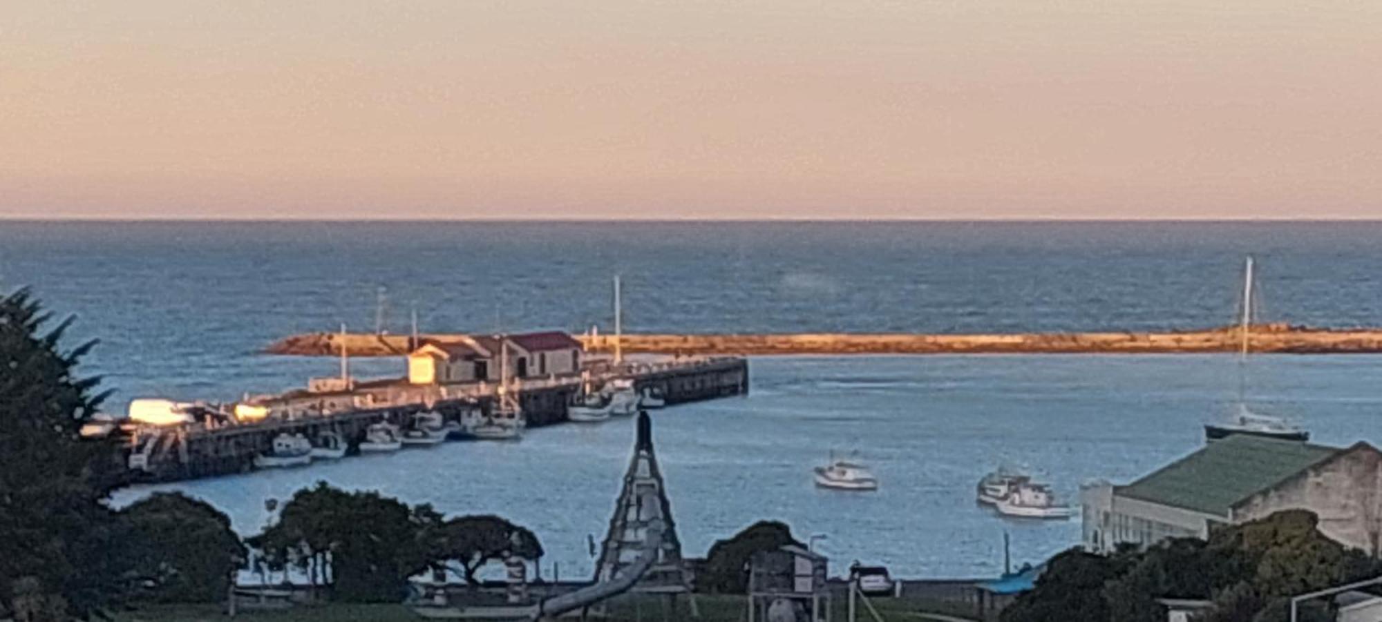 Oamaru Pink Cottage Bagian luar foto